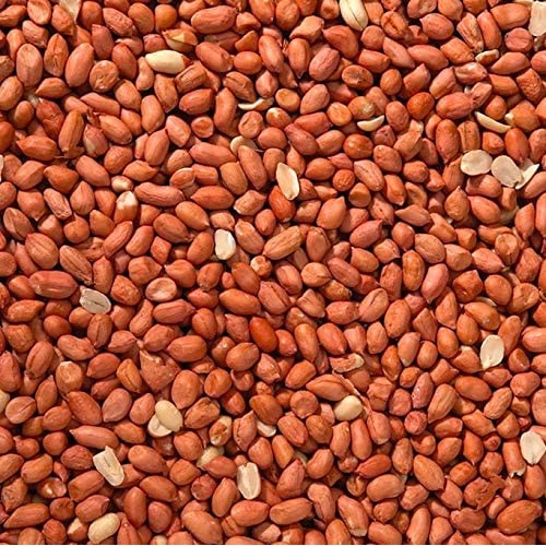 Shelled-Peanuts-500x500